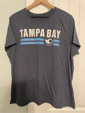 Gildan Tampa Bay Rays Graphic Tee in Heather Navy with White Stripes
